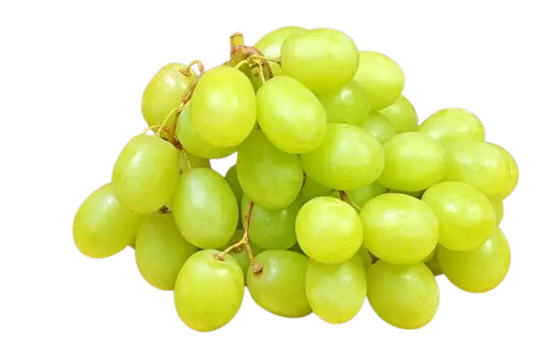Shine Muscat Grapes
